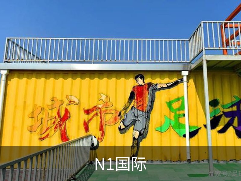 N1国际简介